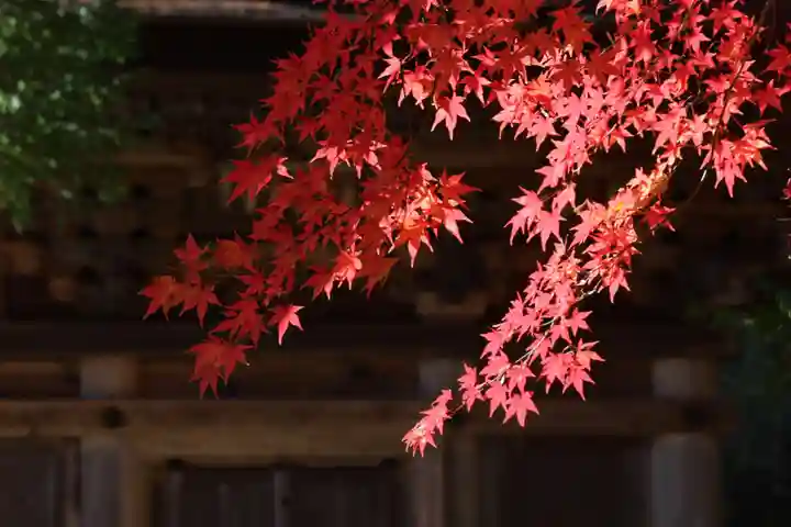 国宝 大法寺の自然