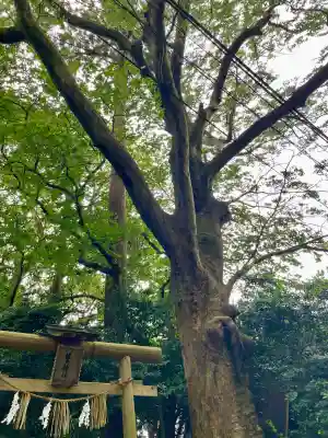 祓戸神社(新潟県)