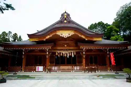 亀ケ池八幡宮の本殿・本堂