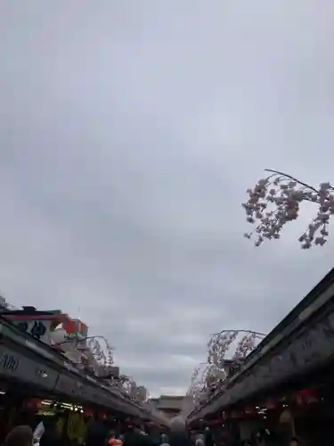 浅草寺(東京都)