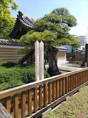 妙顕寺のその他建物