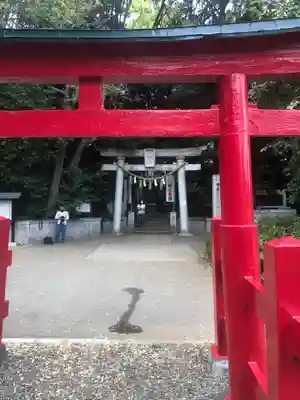 千束八幡神社の鳥居