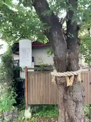 小室浅間神社の自然