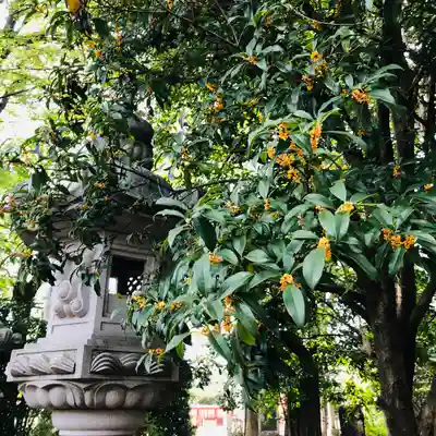 日枝神社水天宮のその他建物