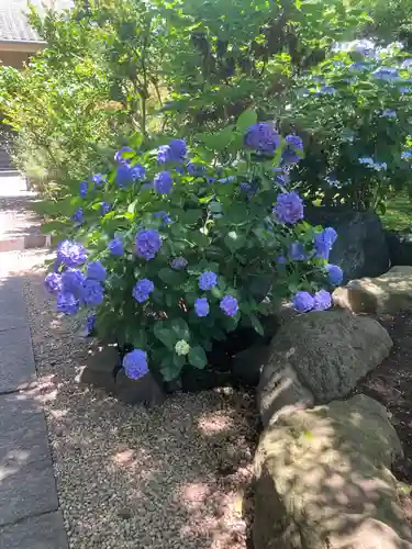 寶安寺（宝安寺）(神奈川県)