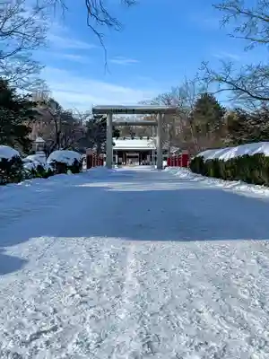 札幌護國神社の鳥居