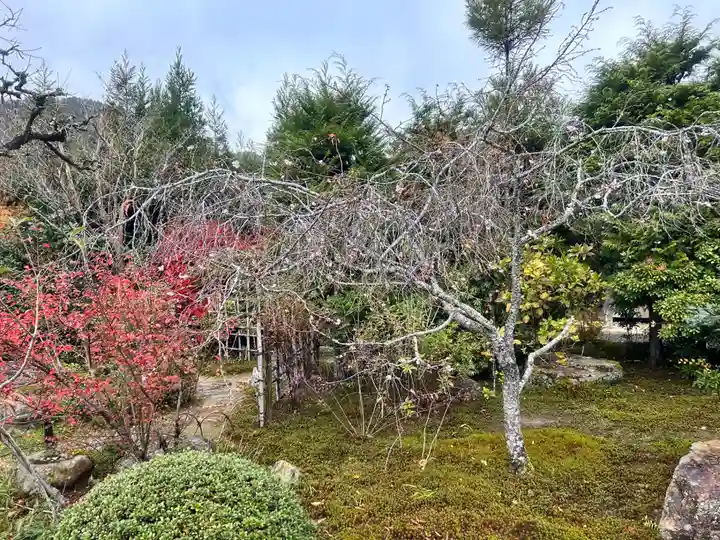 実光院(京都府)