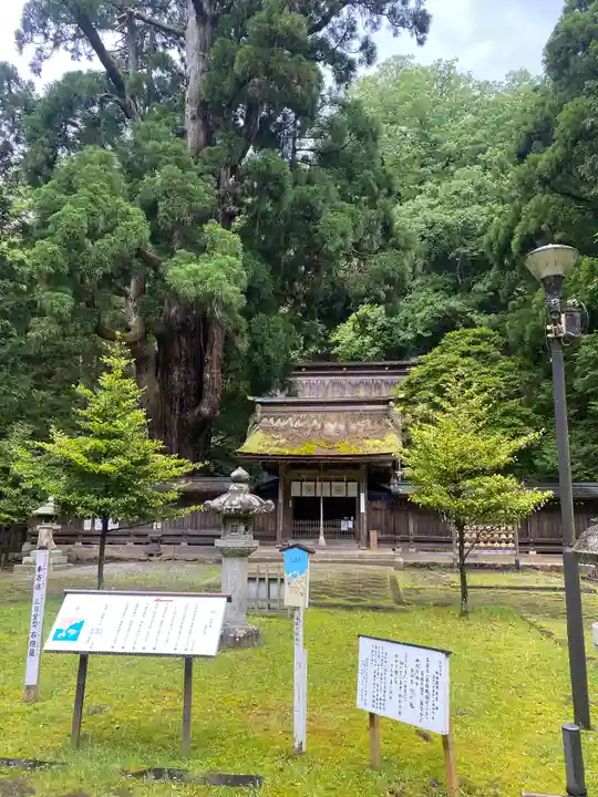 若狭姫神社(若狭彦神社下社)(福井県)