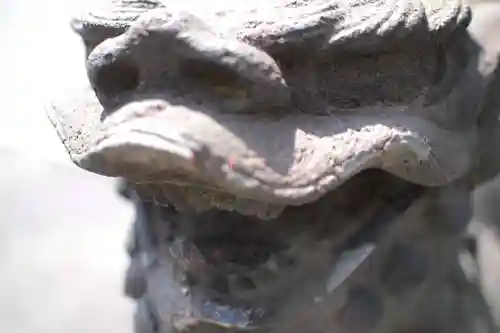 白金氷川神社の狛犬