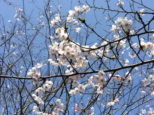 東郷神社(福岡県)