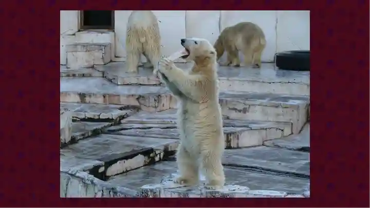 北海道神宮(北海道)