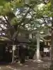 前川神社のその他建物