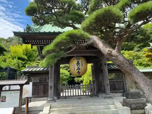 長谷寺(神奈川県)