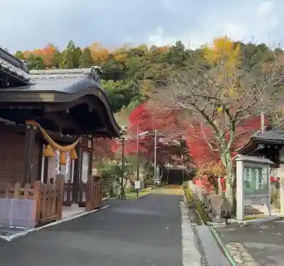 観音寺(滋賀県)