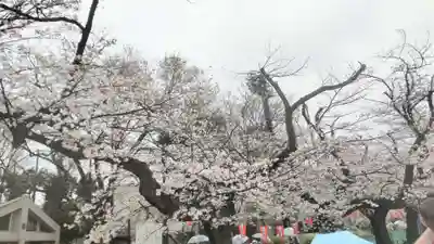 相国寺（相国承天禅寺）(京都府)