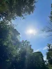 寒川神社の自然