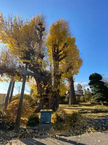 新長谷寺（八町観音）の自然
