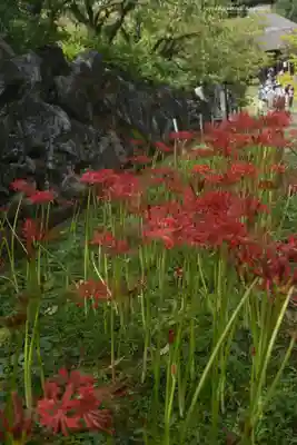 横浜　西方寺(神奈川県)