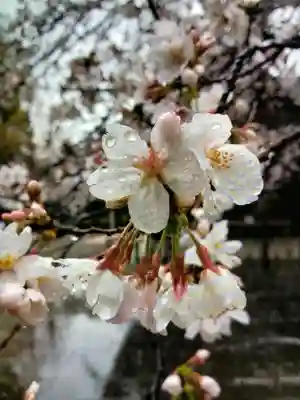 熊野神社(東京都)