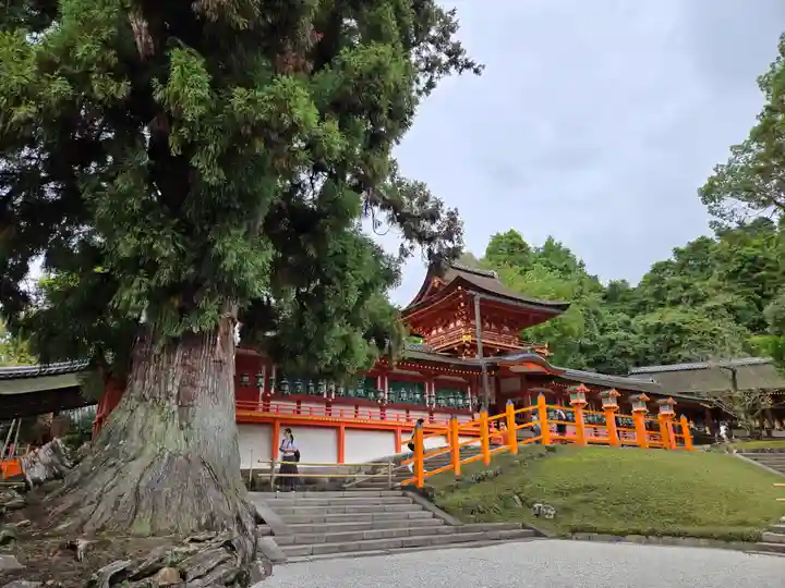 春日大社(奈良県)