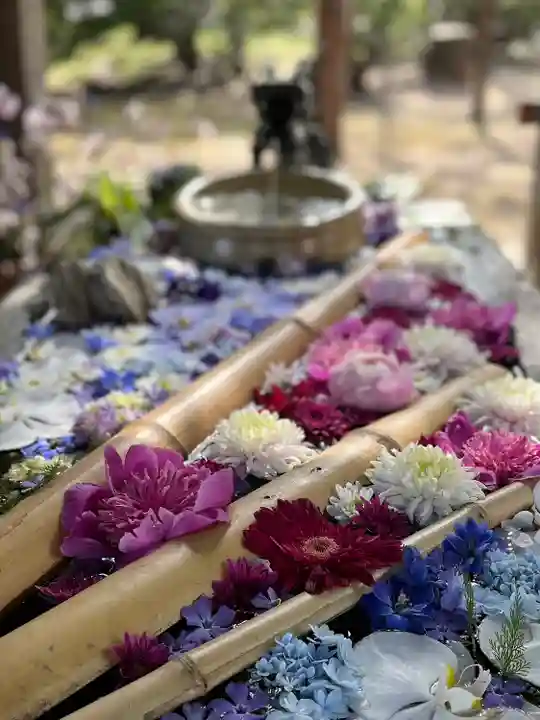 札幌護國神社の手水舎