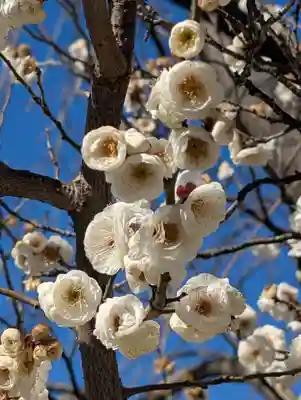潮田神社(神奈川県)