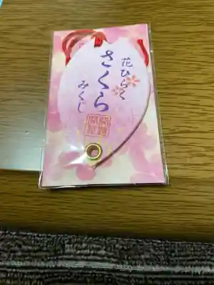 櫻岡大神宮のおみくじ