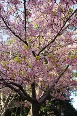 近江神宮(滋賀県)