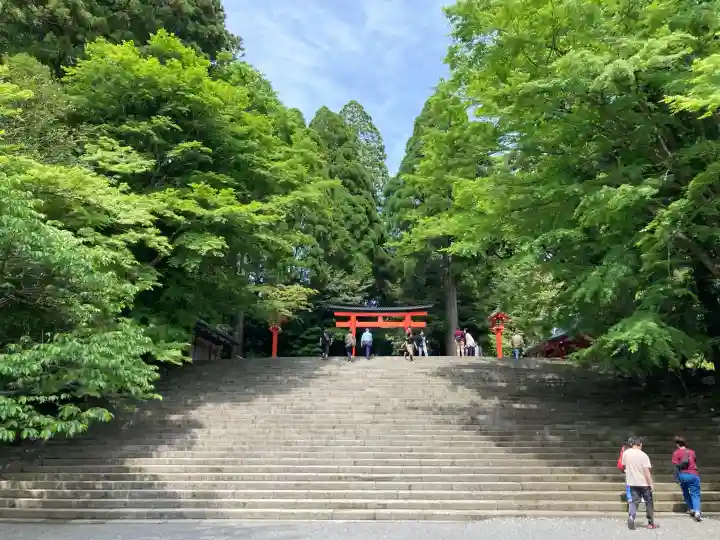 霧島神宮の{uncategorized: "未分類", other: "その他", undefined: "問題あり", building: "その他建物", grave: "お墓", sacred_gate: "鳥居", guardian: "狛犬", statue: "像", buddha: "仏像", history: "歴史", nature: "自然", garden: "庭園", animal: "動物", pagoda: "塔", temizu: "手水舎", mountain_gate: "山門・神門", sanctuary: "本殿・本堂", subordinate: "末社・摂社", art: "芸術", scenery: "景色", jizo: "地蔵", ema: "絵馬", goshuin: "御朱印", omikuji: "おみくじ", items: "授与品その他", amulet: "お守り", goshuincho: "御朱印帳", eats: "食事", festival: "お祭り", votive_dance: "神楽", shichigosan: "七五三参", wedding: "結婚式", experience: "体験その他", initially: "初詣", around: "周辺", anti_infection: "感染症対策"}