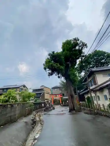 嚴島神社(京都府)