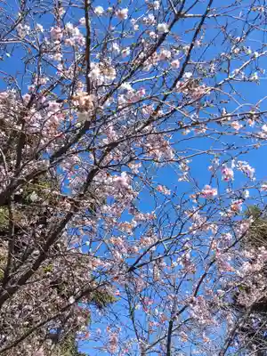 大沼神社の自然
