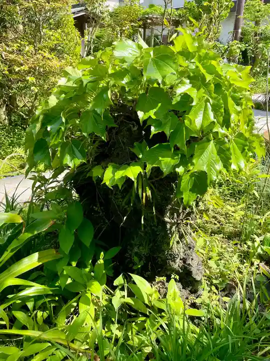 大巧寺(神奈川県)