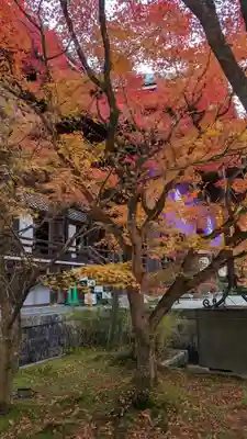 禅林寺(永観堂)(京都府)
