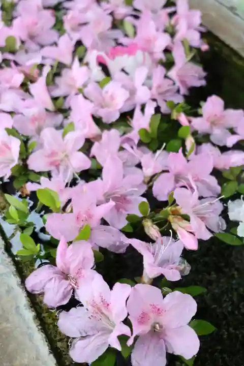 円泉寺(埼玉県)