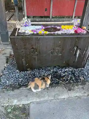 前玉神社(埼玉県)