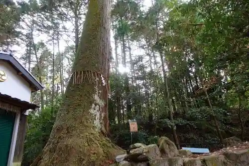 八大神社の自然