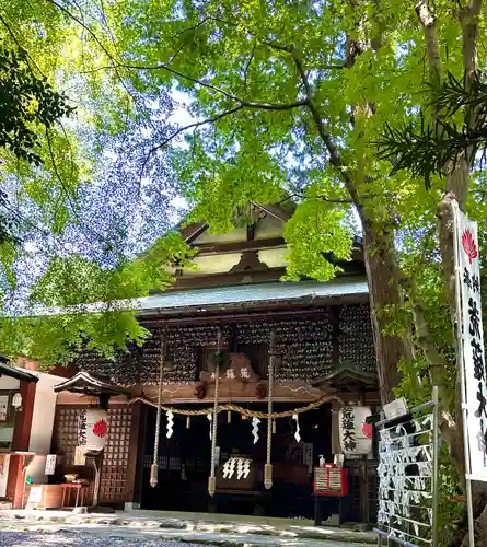 古井の天狗山(岐阜県)