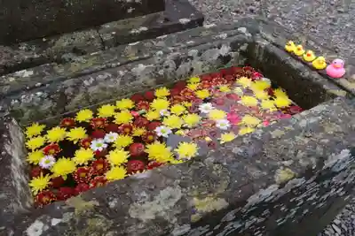 八幡神社の手水舎