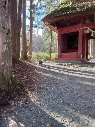 戸隠神社奥社の山門・神門