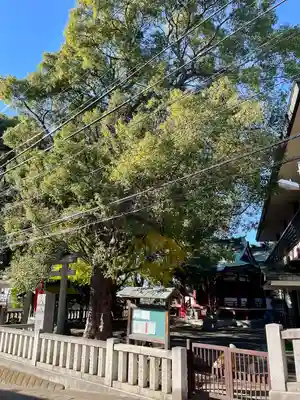 小金八坂神社(千葉県)