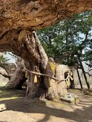 橡木山白木神社の{uncategorized: "未分類", other: "その他", undefined: "問題あり", building: "その他建物", grave: "お墓", sacred_gate: "鳥居", guardian: "狛犬", statue: "像", buddha: "仏像", history: "歴史", nature: "自然", garden: "庭園", animal: "動物", pagoda: "塔", temizu: "手水舎", mountain_gate: "山門・神門", sanctuary: "本殿・本堂", subordinate: "末社・摂社", art: "芸術", scenery: "景色", jizo: "地蔵", ema: "絵馬", goshuin: "御朱印", omikuji: "おみくじ", items: "授与品その他", amulet: "お守り", goshuincho: "御朱印帳", eats: "食事", festival: "お祭り", votive_dance: "神楽", shichigosan: "七五三参", wedding: "結婚式", experience: "体験その他", initially: "初詣", around: "周辺", anti_infection: "感染症対策"}