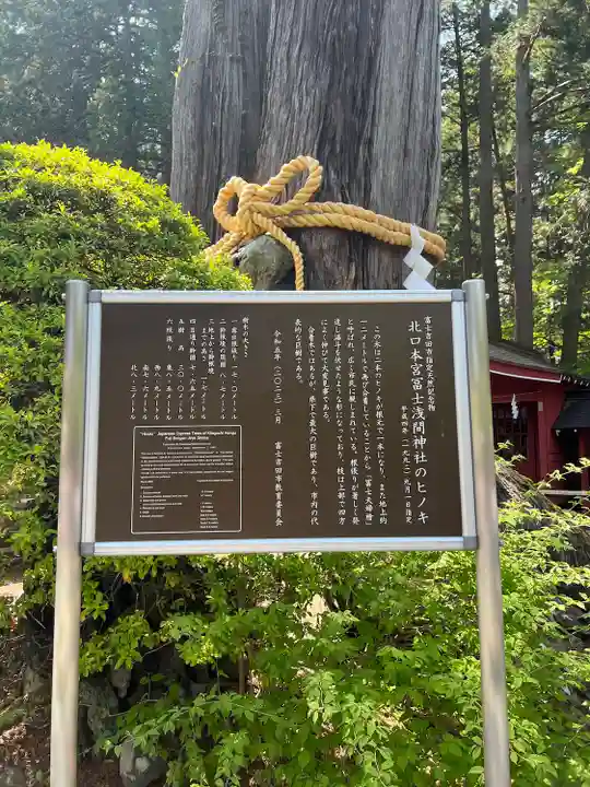 北口本宮冨士浅間神社(山梨県)