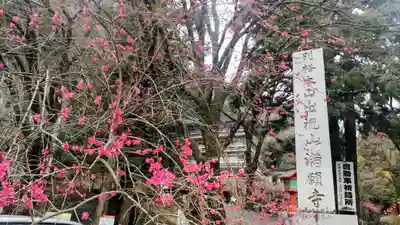 満願寺(栃木県)
