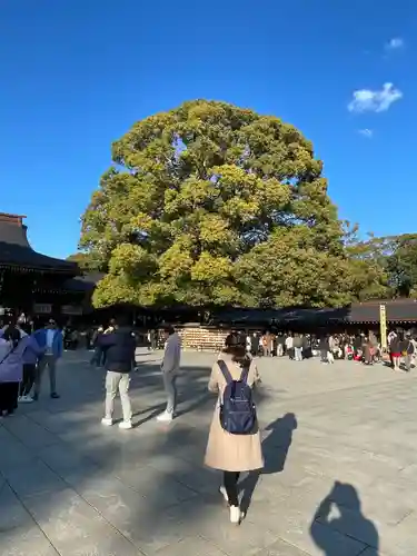 明治神宮(東京都)