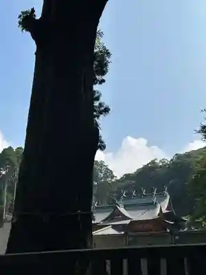 霧島神宮(鹿児島県)