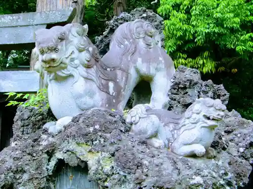 大日神社の狛犬