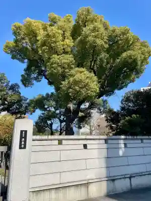 法泉寺(東京都)