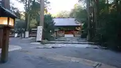 椿大神社の本殿