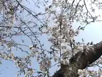 稲田神社(豊川進雄神社御旅所)(愛知県)