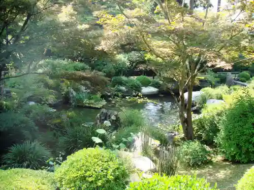 三室戸寺の庭園